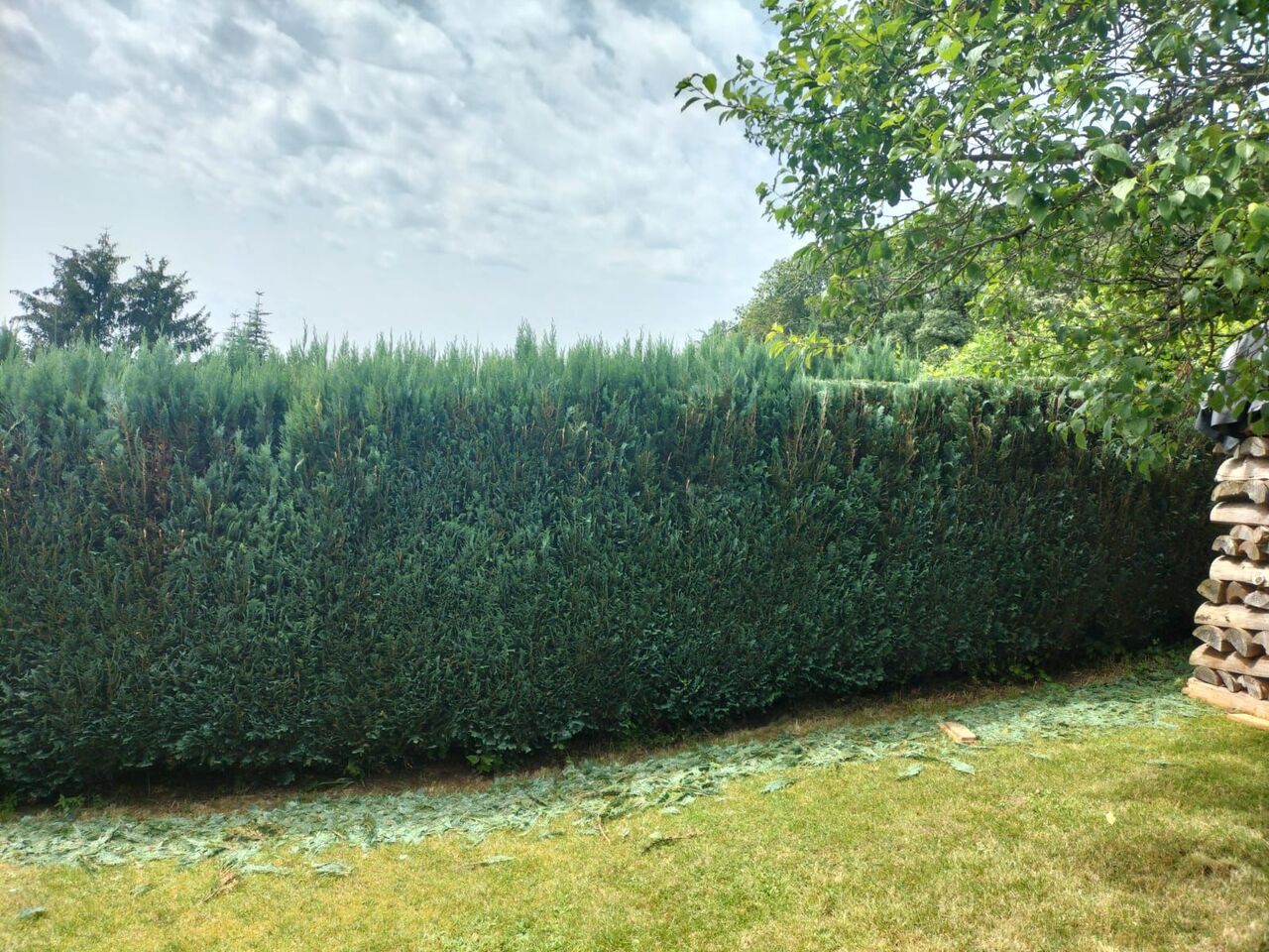 Garten & Grünpflege – Hasic Bauservice