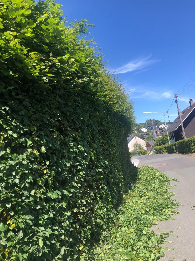 Garten & Grünpflege – Hasic Bauservice